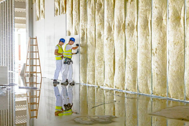 Professional Insulation Contractor in CO